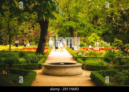 Madrid, Espagne. 12 avril 2023 chemin droit dans le jardin botanique royal au printemps les gens se promener parmi les arbres à feuilles caduques vertes, les lits en fleurs o Banque D'Images