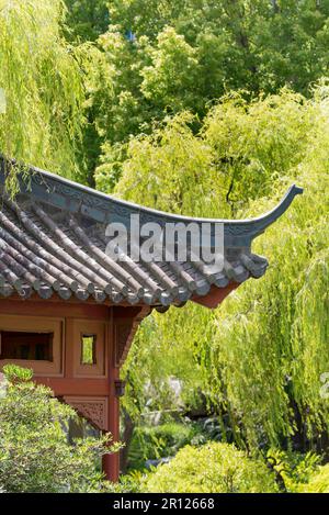 L'un des nombreux pavillons typiquement chinois dans les jardins chinois de l'amitié à Sydney, en Australie Banque D'Images