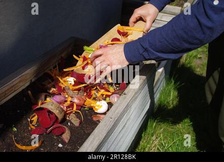 Compost de déchets organiques. L'homme jette des fruits de légumes de cuisine et des déchets de coquetiers pour la biodégradation. Recyclage de nourriture à la maison arrière-cour et soutient Banque D'Images