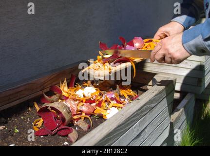 Compost de déchets organiques. L'homme jette des fruits de légumes de cuisine et des déchets de coquetiers pour la biodégradation. Recyclage de nourriture à la maison arrière-cour et soutient Banque D'Images