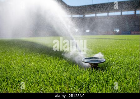 Arroser de l'herbe dans un stade de football Banque D'Images