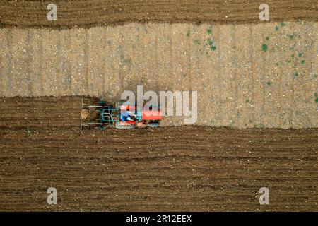 Tracteur labourant un champ.Île de Majorque.Espagne Banque D'Images