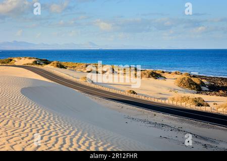 Route côtière FV1 traversant les dunes de sable du Parque Natural de Corralejo Corralejo la Oliva Fuerteventura Iles Canaries Espagne Banque D'Images