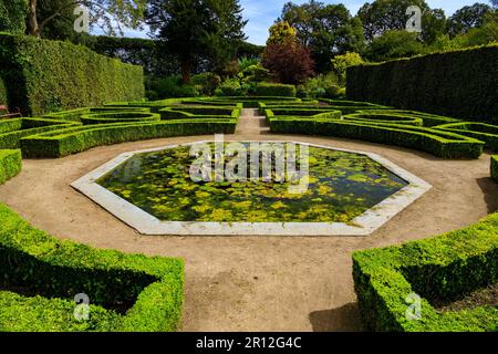 Le jardin français avait taillé des haies de boîte et une fontaine de coquillages dans le parc national de Mount Edgcombe, Cornwall, Angleterre, Royaume-Uni Banque D'Images