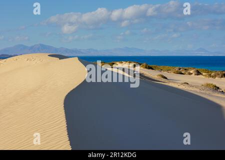 Route côtière FV1 traversant les dunes de sable du Parque Natural de Corralejo Corralejo la Oliva Fuerteventura Iles Canaries Espagne Banque D'Images