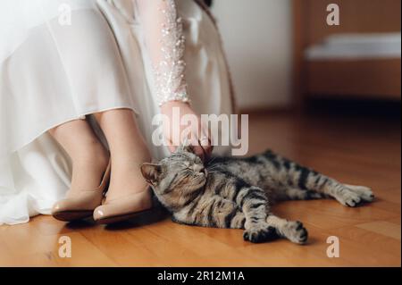 Une femme vêtue d'une robe de mariage blanche tient avec amour un chat rayé couché sur le sol. Banque D'Images