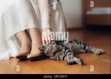 Une femme vêtue d'une robe de mariage blanche tient avec amour un chat rayé couché sur le sol. Banque D'Images