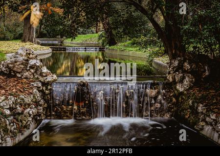 Une scène tranquille dans un parc public avec une petite chute d'eau en cascade sur des rochers et descendant dans une piscine peu profonde sous une voûte d'arbres Banque D'Images