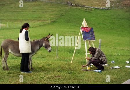 Brasov Comté, Roumanie, environ 1999. Jeune peintre travaillant sur une toile en plein air, avec sa petite amie debout près d'un âne de la ferme. Banque D'Images