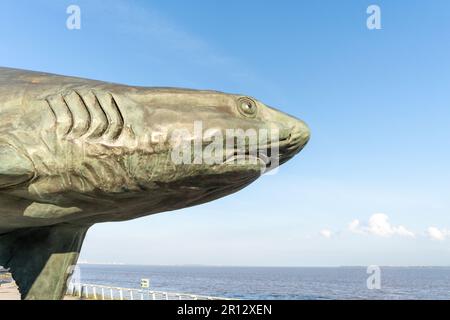 The Grey Reef Shark - une sculpture de Christopher Kelly, près de l'aquarium profond de la ville de Kingston upon Hull, au Royaume-Uni. Banque D'Images