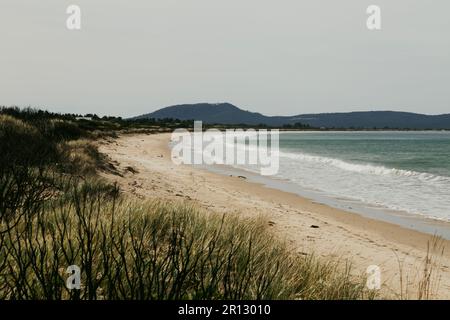 Vue sur Great Oyster Bay avec le soleil de la fin de l'après-midi qui se reflète sur la pierre des Hazards, prise de Dolphin Sands, Tasmanie, Austr Banque D'Images