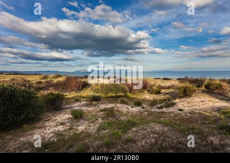 Vue sur Great Oyster Bay avec le soleil de la fin de l'après-midi qui se reflète sur la pierre des Hazards, prise de Dolphin Sands, Tasmanie, Austr Banque D'Images