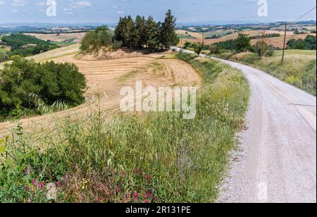 Paysage le long de la via Francigena chemin entre Ponte d'Arbia et San Quirico d'Orcia, Toscane dans le centre de l'Italie Banque D'Images