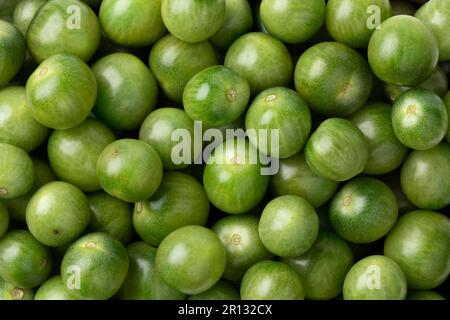 Petites tomates vertes non mûres de tigre de cerise plein cadre gros plan comme arrière-plan Banque D'Images