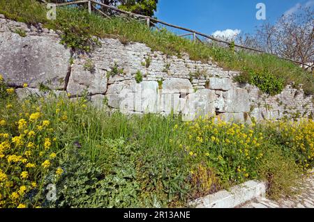Ruines des anciens murs polygonaux (VI siècle b.C.) dans le village de Castel San Pietro Romano, Lazio, Italie Banque D'Images