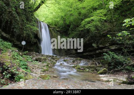 Cascade dans la forêt.magnifique paysage de la cascade de Tatlica Erfelek district, Sinop, dans la région de la mer Noire de Turquie. exposition longue Banque D'Images