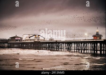 Des étoiles survolant North Pier, Blackpool, au crépuscule Banque D'Images