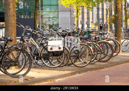 Pays-Bas. Journée ensoleillée dans la rue d'Amsterdam. De nombreuses bicyclettes sont garées près du bâtiment de bureau Banque D'Images