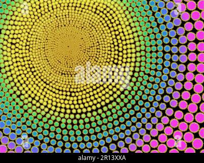 Motif abstrait représentant un cercle de couleur arc-en-ciel sur fond noir. Art numérique dessiné à la main Motifs de cercles et de points multicolores Banque D'Images