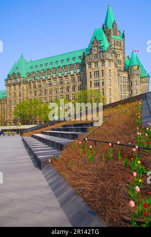 Canada, Ontario, Ottawa, Édifice de la Confédération, jardin, tulipes, Banque D'Images