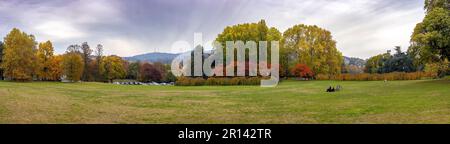 Turin, Italie - 09 novembre 2021 : vue panoramique de la plus grande pelouse du Parco del Valentino sur les rives du po, un endroit préféré pour la recréation Banque D'Images