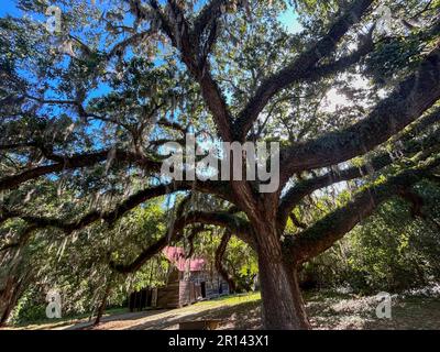 Site historique de McLeod Plantation, Charleston, Caroline du Sud Banque D'Images