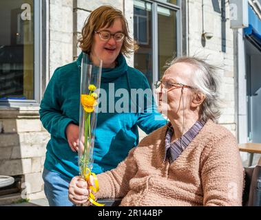 Portrait de famille d'une 40 yo femme avec le syndrome de Down donnant une fleur à sa 84 yo mère, Tienen, Belgique Banque D'Images