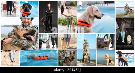 Collage avec photos de personnes avec chiens de service, conception de bannière Banque D'Images