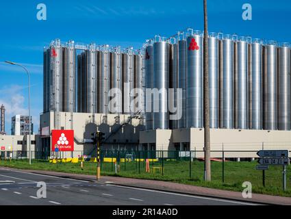 Geel, Flandre, Belgique - 22 avril 2023 - silo industriel pour le stockage de la majeure partie de la société Katoen natie Banque D'Images