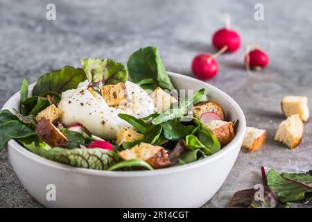 Salade mixte avec radis, croûtons faits maison et fromage burrata sur fond gris Banque D'Images