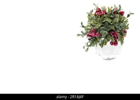 décoration gui isolée sur fond blanc Banque D'Images