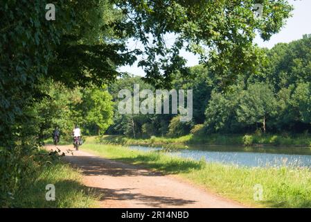 Cyclistes sur une piste cyclable sur l'EMS à Meppen dans la nature (Dortmund-EMS-Kanal) Banque D'Images