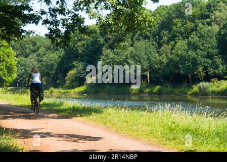 Cyclistes sur une piste cyclable sur l'EMS à Meppen dans la nature (Dortmund-EMS-Kanal) Banque D'Images