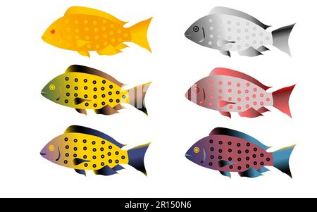 Un ensemble de six poissons moutley colorés et lumineux. Illustration vectorielle. Illustration de Vecteur