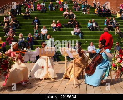 Liverpool Angleterre 11th mai 2023 Un arrangement publicitaire comprenant un quatuor de violonistes jouant à côté d'une calèche qui est décorée pour annoncer un nouveau programme Netflix appelé "Reine Charlotte". Son nom complet est Sophia Charlotte de plaque de lac meckenbrg-Strelitz; la série est un préquel à Bridgerton. L'événement a eu lieu dans le centre de Liverpool pendant la semaine de construction au concours de chansons Eurovision ©GedCamera/ Alamy Live News Banque D'Images