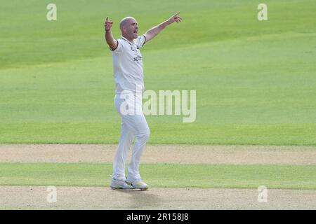 Chris Rushworth, de Warwickshire, célèbre la prise du cricket de Michael Pepper lors du CCC de Warwickshire contre le CCC d'Essex, LV Insurance County Championship Banque D'Images