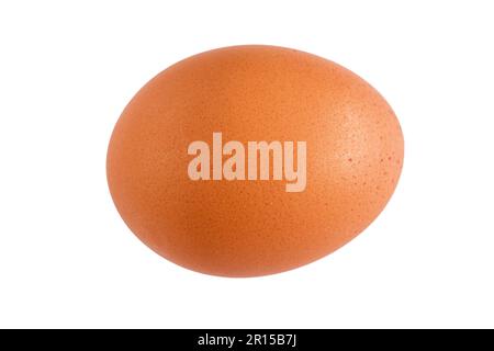 Brown egg isolated on white Banque D'Images