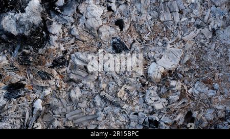 Cendres grises de la texture de fond du four, cendres grises du bois provenant de la cheminée. Émonteurs à souder. Banque D'Images