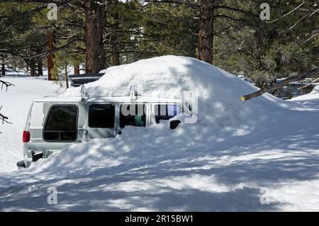 vieille fourgonnette couverte de neige et piégée dans une forêt de pins Banque D'Images