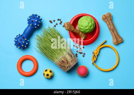 Composition de pose à plat avec jouets pour animaux de compagnie, nourriture et accessoires sur fond bleu clair Banque D'Images