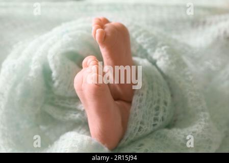 Bébé nouveau-né mignon recouvert de tissu écossais turquoise sur le lit, gros plan des jambes Banque D'Images