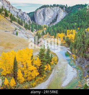 Les falaises et les couleurs d'automne le long de la vallée de la rivière de Dearborn au-dessous de la rocky mountain/près de augusta, Montana Banque D'Images