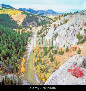 Les falaises et les couleurs d'automne le long de la vallée de la rivière de Dearborn au-dessous de la rocky mountain/près de augusta, Montana Banque D'Images