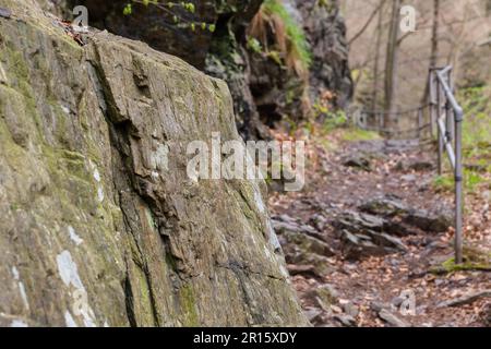 Harz Witchs' Trail Banque D'Images