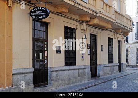 Taberna Salinas, taverne traditionnelle, Cordoue, province de Cordoue, Andalousie, Espagne Banque D'Images