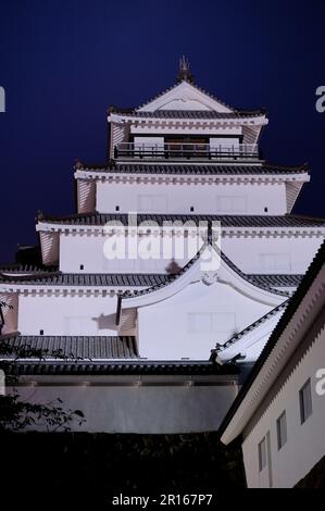 Château de Tsuruga dans la soirée Banque D'Images