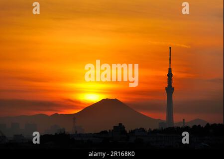 Mt. Fuji et Tokyo Sky Tree au crépuscule Banque D'Images