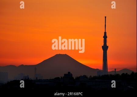 Mt. Fuji et Tokyo Sky Tree au crépuscule Banque D'Images