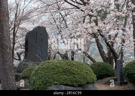 KAWAGUCHIKO, JAPON - 7 AVRIL 2023 : point de repère en pierre à Kawaguchiko, Japon avec arbre sakura Banque D'Images