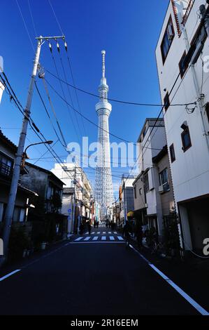 Le Sky Tree de Tokyo regarda depuis les rues Banque D'Images